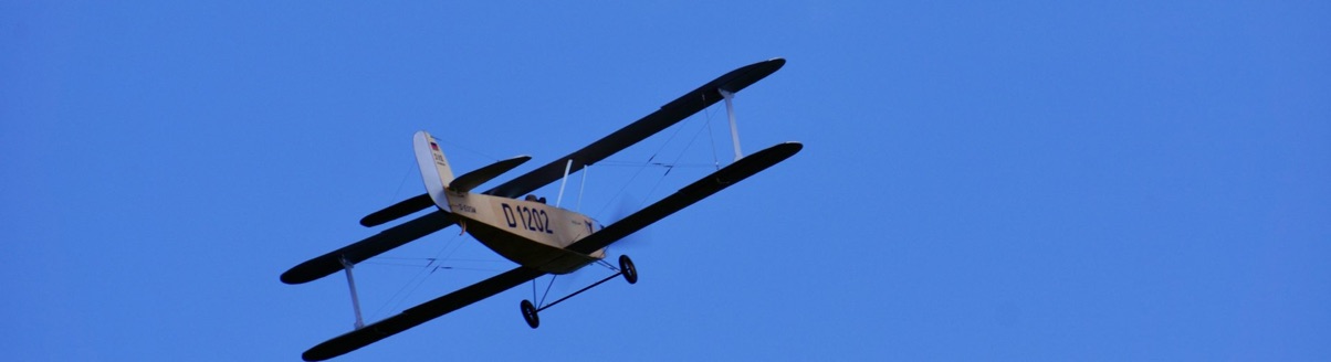 Bücker Doppeldecker