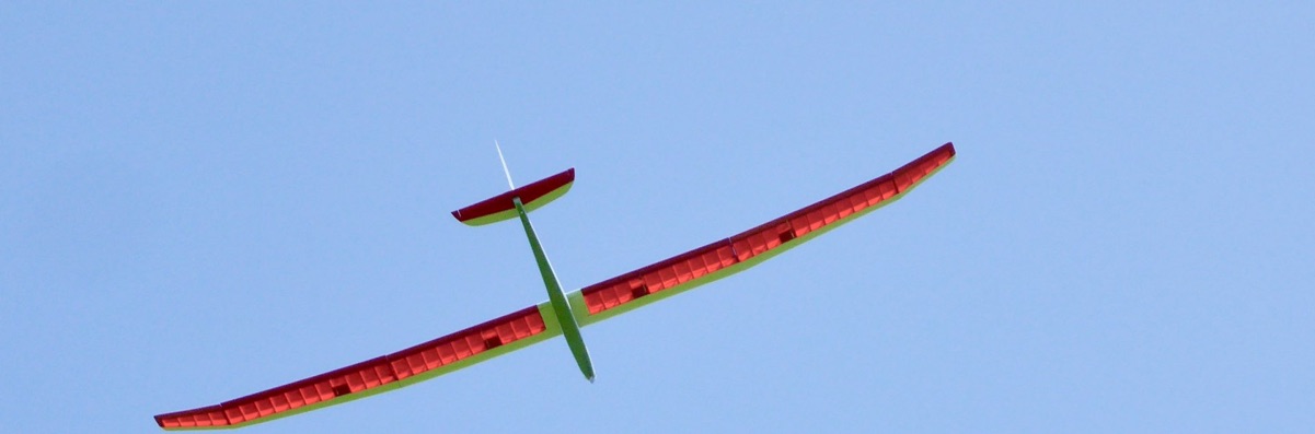 Segler Rot Gelb